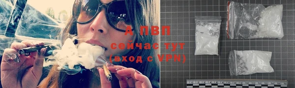 a pvp Аркадак