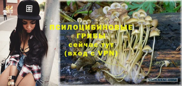 гашиш Арсеньев